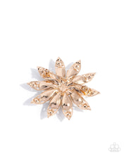 Load image into Gallery viewer, Timeless Tribute ~ Gold ~ Paparazzi