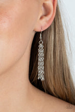 Load image into Gallery viewer, Planted Possibilities - Silver - Paparazzi